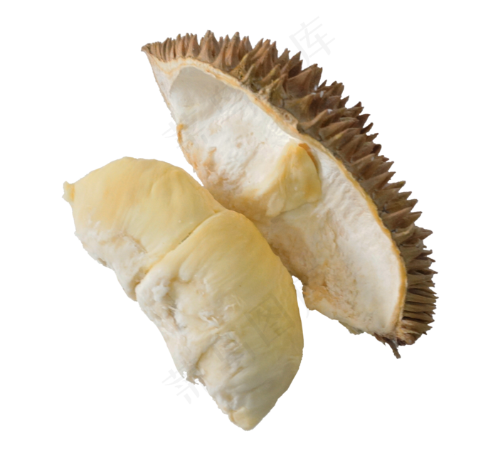 新鲜榴莲(2500*2300px 300 dpi )