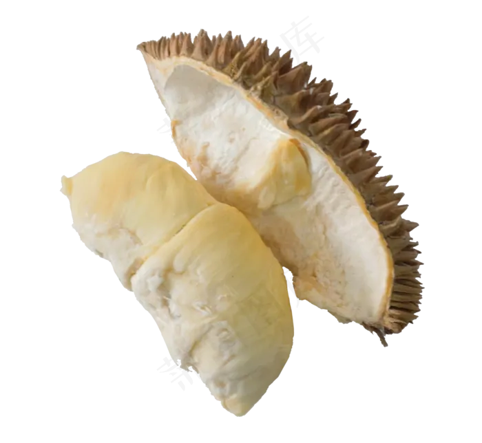 新鲜榴莲(2500*2300px 300 dpi )