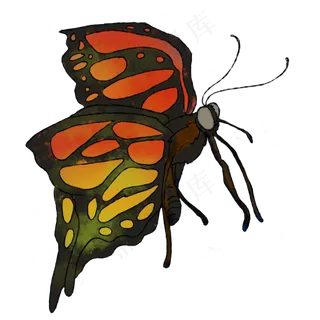 蝴蝶花蝴蝶手绘装饰图案