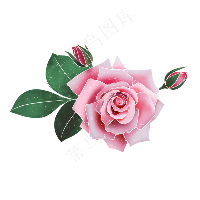 春季水彩植物粉色玫瑰花(2000X2000(DPI:300))psd模版下载