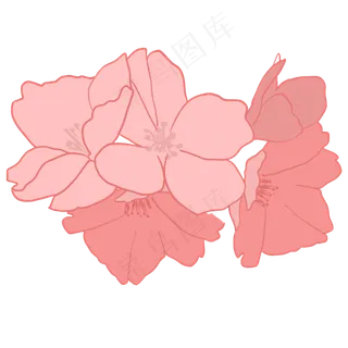 樱花盛开的唯美时刻