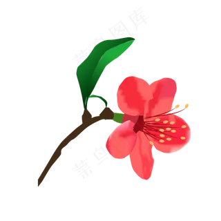 卡通免扣粉色花朵