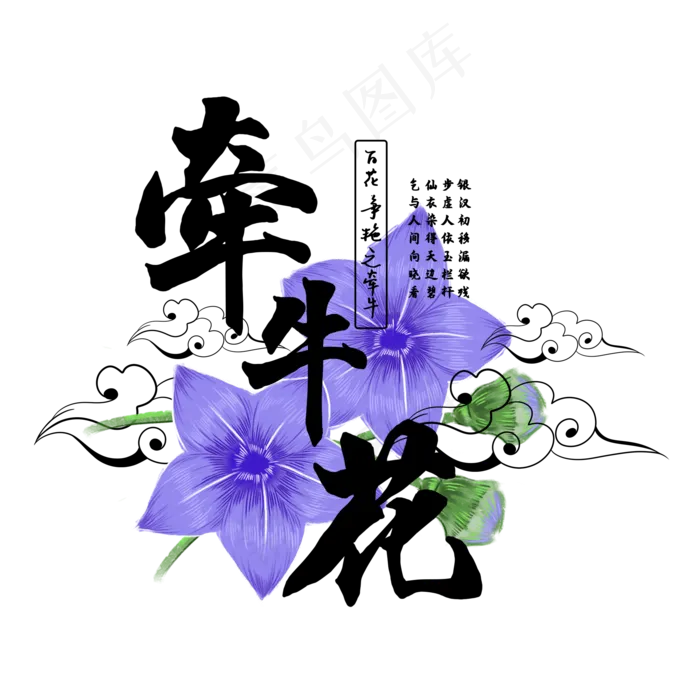 古风百花系列之牵牛花(2000X2000(DPI:150))psd模版下载