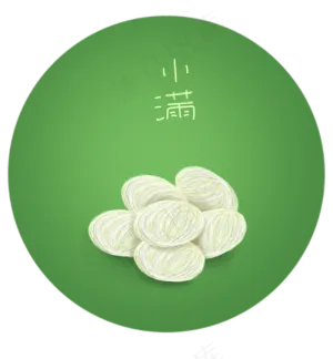 二十四节气白色的蚕茧