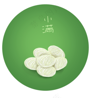 二十四节气白色的蚕茧