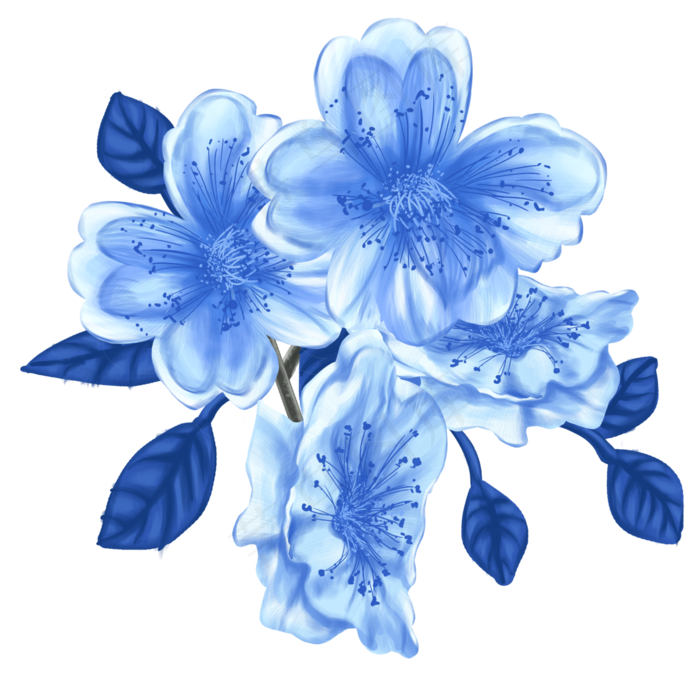 蓝色彩铅花花朵