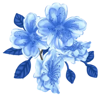 蓝色彩铅花花朵