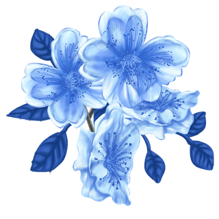 蓝色彩铅花花朵