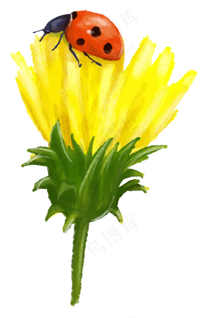 黄花瓢虫手绘蜡笔水彩效果(1386X2128(DPI:300))psd模版下载