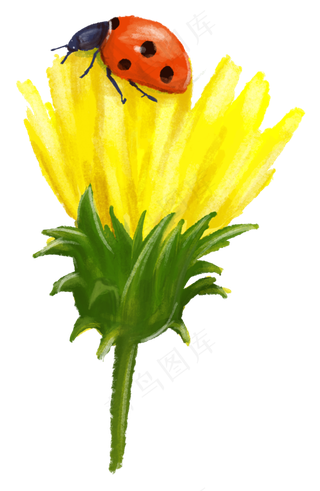 黄花瓢虫手绘蜡笔水彩效果