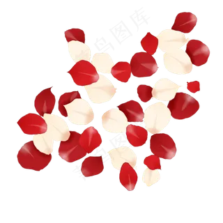 红色粉色玫瑰花瓣装饰