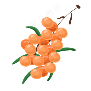 橘色水果沙棘
