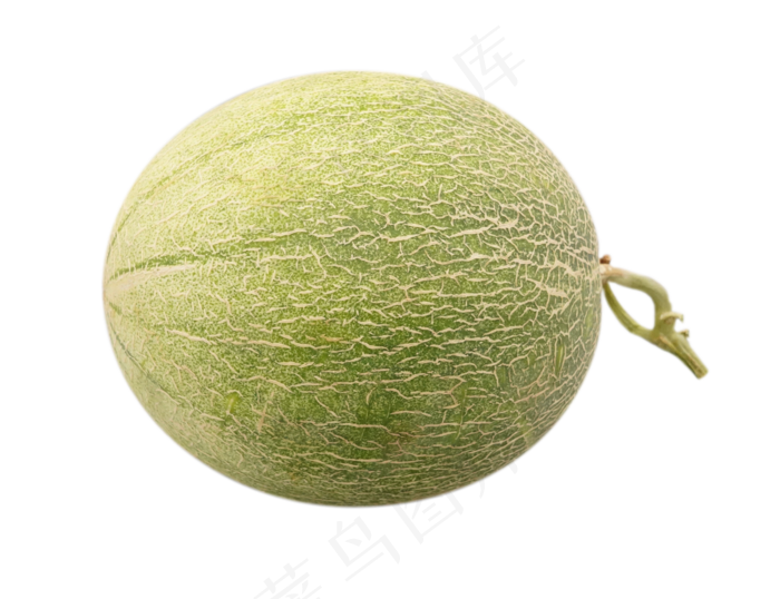 绿色椭圆哈密瓜