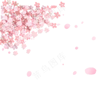 红色的樱花免抠图