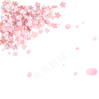 红色的樱花免抠图