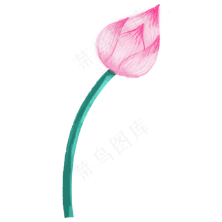 立夏夏天粉色唯美荷花