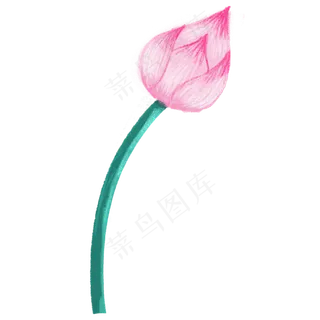 立夏夏天粉色唯美荷花