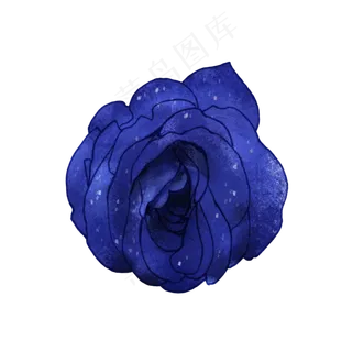 蓝色玫瑰