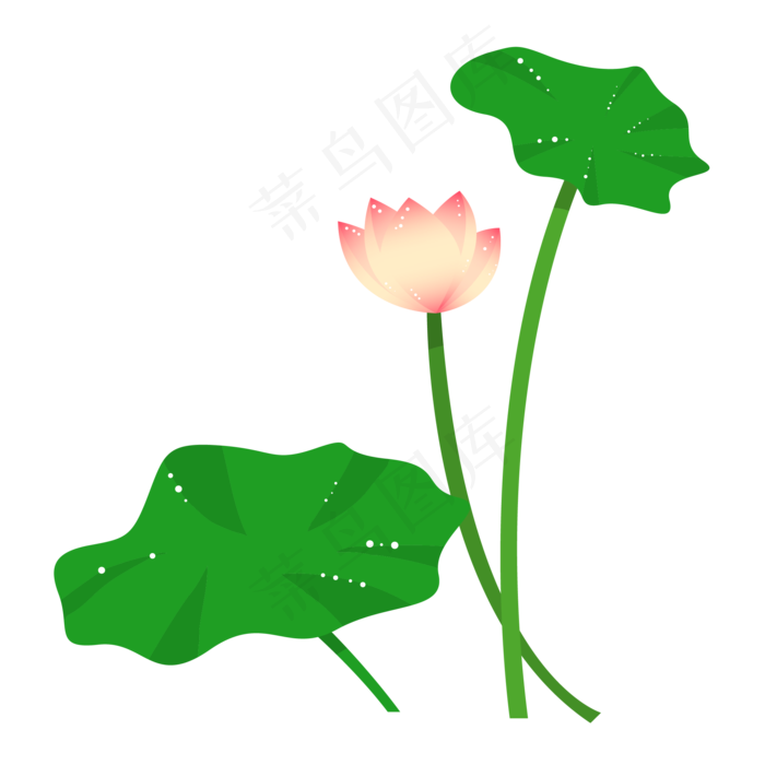 粉色荷花荷叶插画