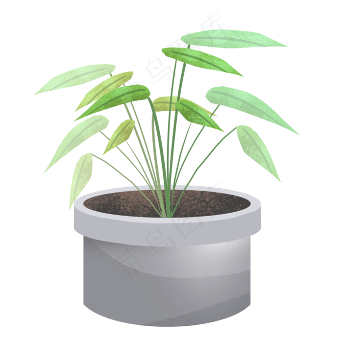 春分盆栽手绘插画,免抠元素