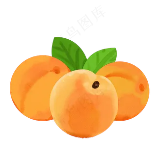 高清摄影新鲜的水果黄桃