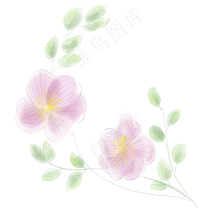 淡粉色水彩花朵
