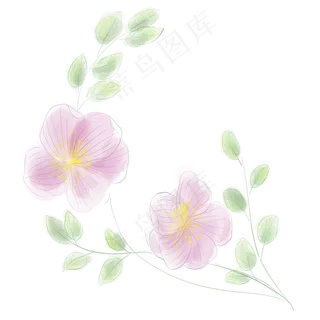 淡粉色水彩花朵