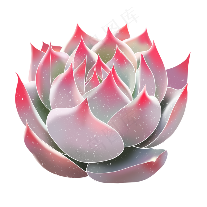 春季水彩植物多肉,免抠元素