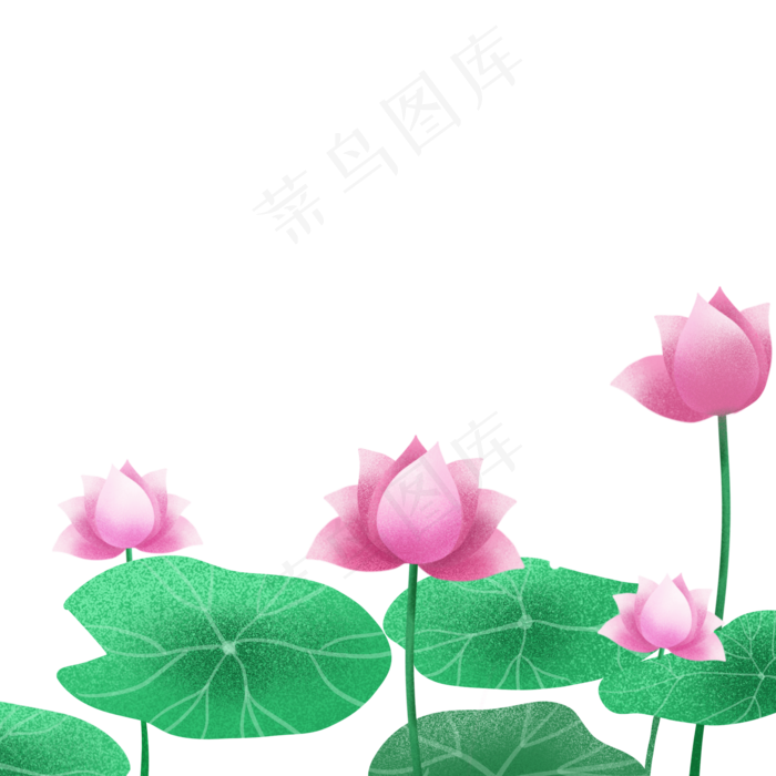 夏日荷花png免抠图(2000X2000(DPI:300))psd模版下载
