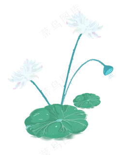处暑节气白荷花免抠图 处暑节气白荷花免抠图