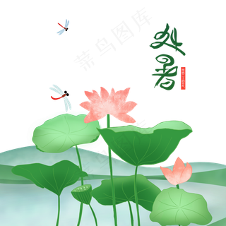 处暑手绘荷叶池塘