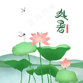 处暑手绘荷叶池塘