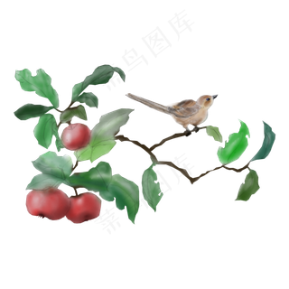卡通水彩水果之王苹果和鸟免抠p