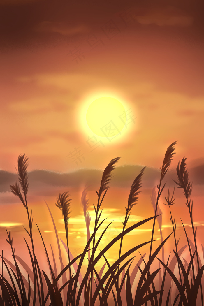 治愈美景夕阳下的芦苇