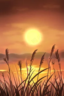 治愈美景夕阳下的芦苇 治愈美景夕阳下的芦苇
