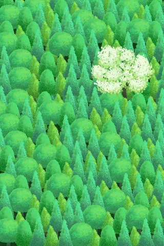 清新绿色系夏天森林