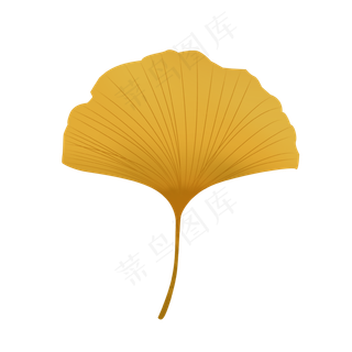 黄色色彩矢量银杏叶