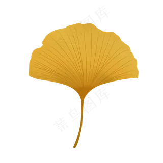 黄色色彩矢量银杏叶