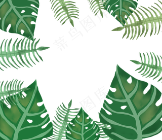 手绘森林系大叶子边框,免抠元素
