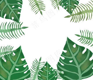 手绘森林系大叶子边框,免抠元素
