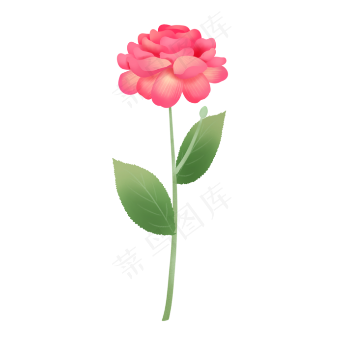 小清新花朵手绘单枝陆莲花