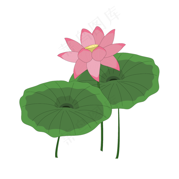 卡通粉色荷花荷叶矢量图
