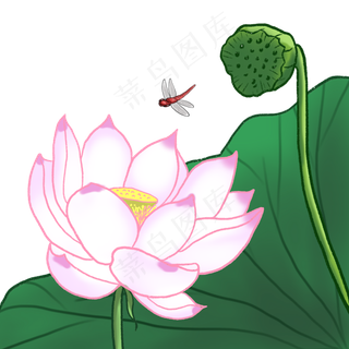 荷花春夏荷塘景色中国风国画