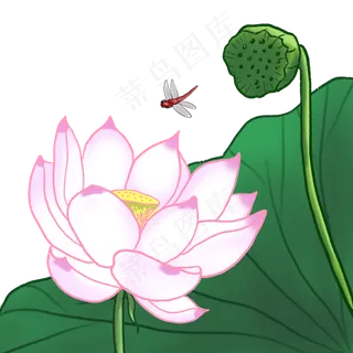 荷花春夏荷塘景色中国风国画