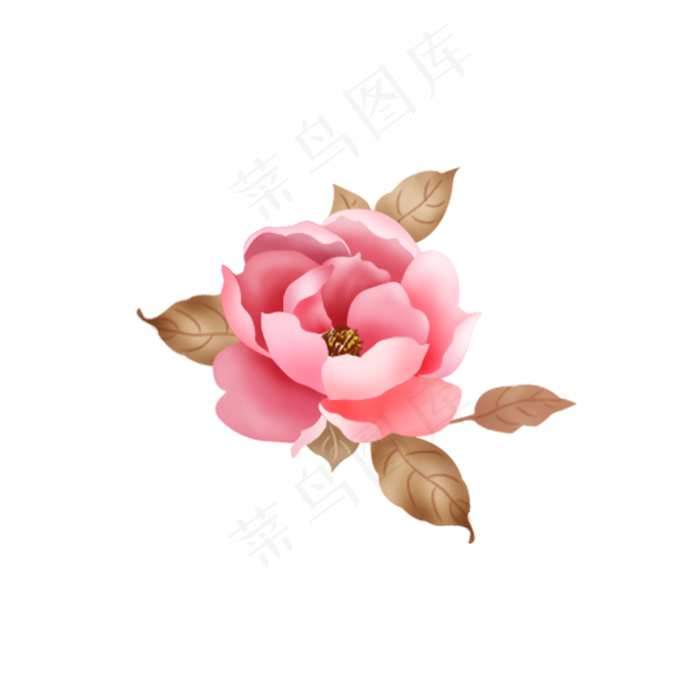矢量手绘粉色茶花一支(1181X1181(DPI:150))psd模版下载