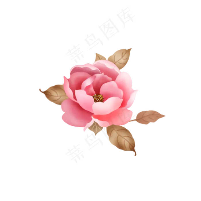 矢量手绘粉色茶花一支(1181X1181(DPI:150))psd模版下载