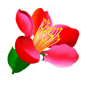 红粉免扣卡通花朵