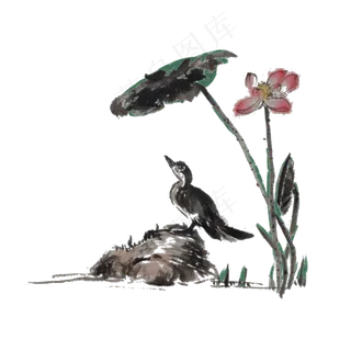 水墨荷花鸟手绘花草,免抠元素