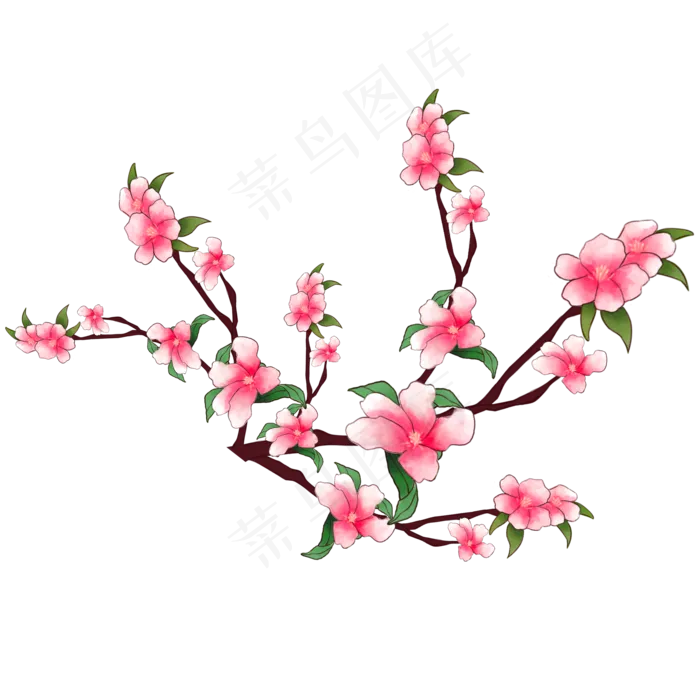 装饰手绘桃花花枝元素(2000X2000(DPI:300))psd模版下载