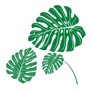 热带树叶分层卡通手绘素材免费下,免抠元素